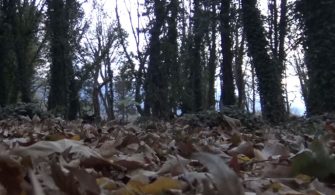 Yenice’deki Issız Cuma Cami Mezarlığı