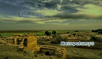 mezom