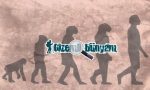 evrim-teorisi-ve-din-cakismasi